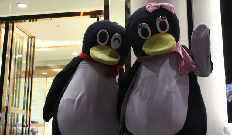 現(xiàn)場的這兩只,也興奮地手舞足蹈起來,是不是很萌呢?