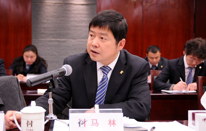 南陵華億置業(yè)公司總經(jīng)理馬林討論發(fā)言