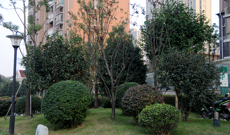 華亭陽光綠洲小區綠化景觀
