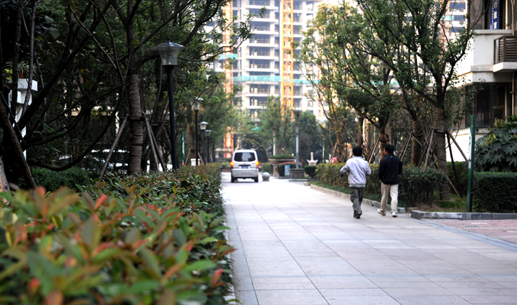 小區主干道干凈整潔