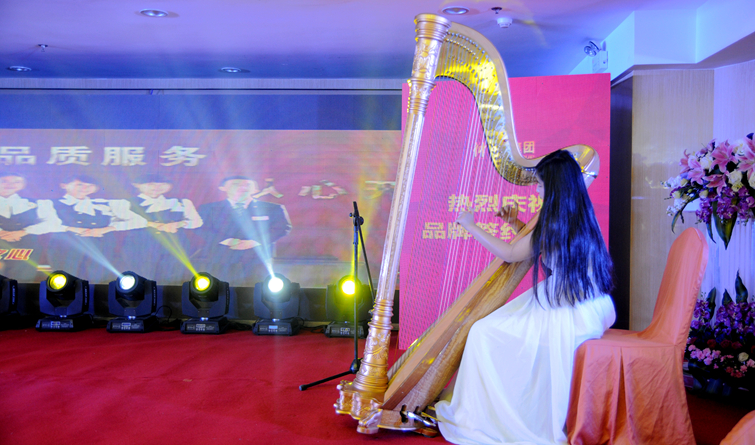 優雅的豎琴演奏