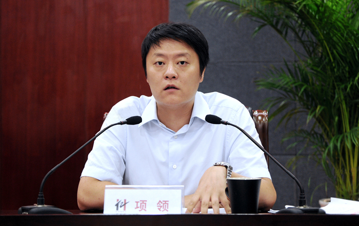 華億集團總裁項領作2015年年中經濟工作報告