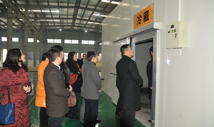 調研團隊實地查看冷凍冷藏區域