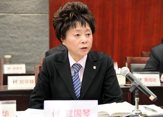 華億國際副總經(jīng)理章國琴討論發(fā)言