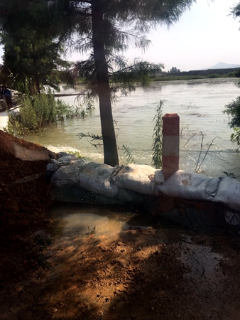 圩堤上隨處可見圍堵洪水的沙袋和黃土堆