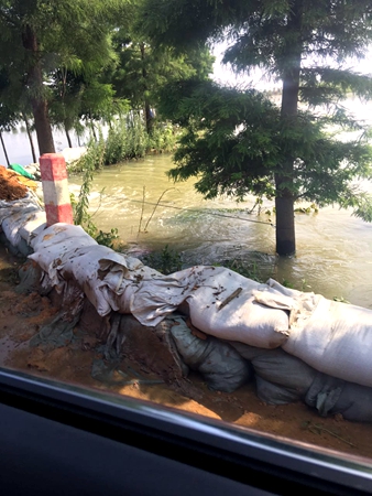 圩堤上隨處可見圍堵洪水的沙袋和黃土堆