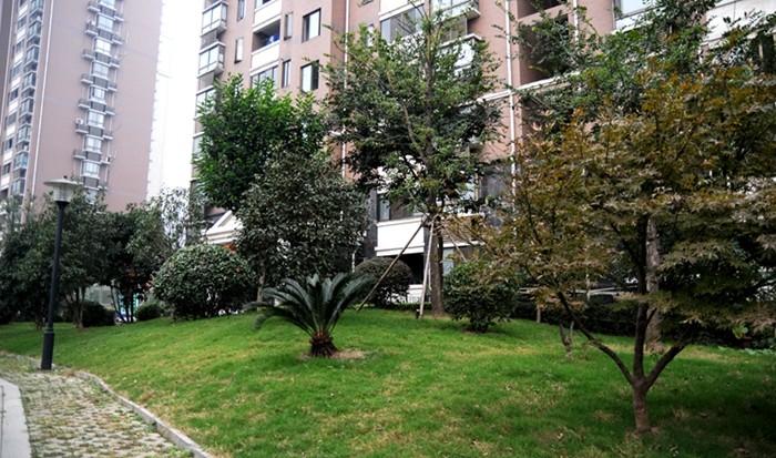 華亭陽光綠洲小區